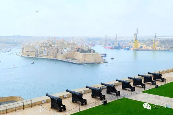 看看这只马耳他猫的表情,它好像错过了几个亿