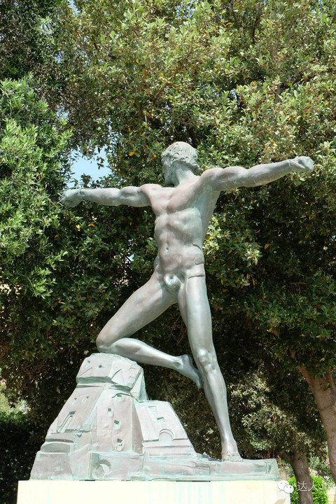 看看这只马耳他猫的表情,它好像错过了几个亿