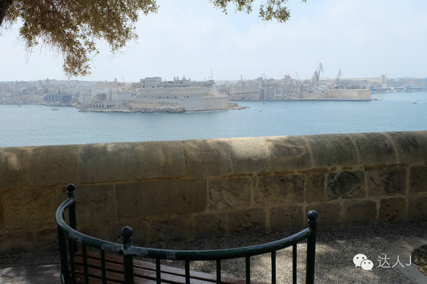 看看这只马耳他猫的表情,它好像错过了几个亿