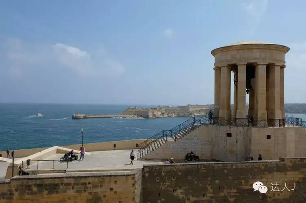 看看这只马耳他猫的表情,它好像错过了几个亿