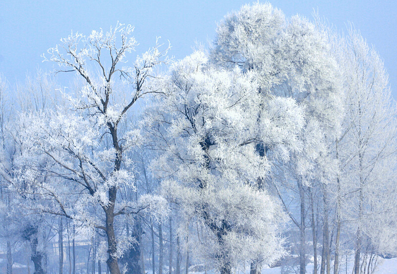 冬季旅游，国内十大冰雪地推荐！