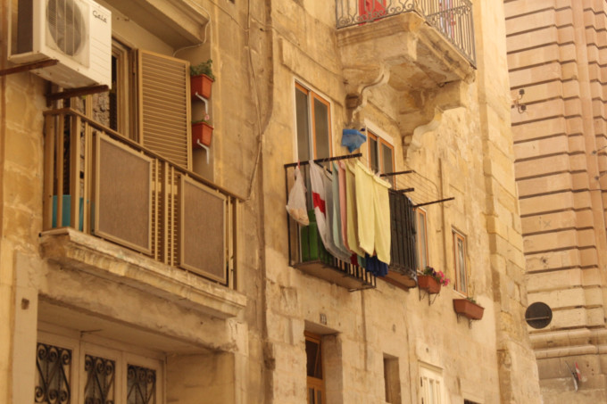 穿梭在古城墙间的壁虎和肆虐于阳光下的仙人掌