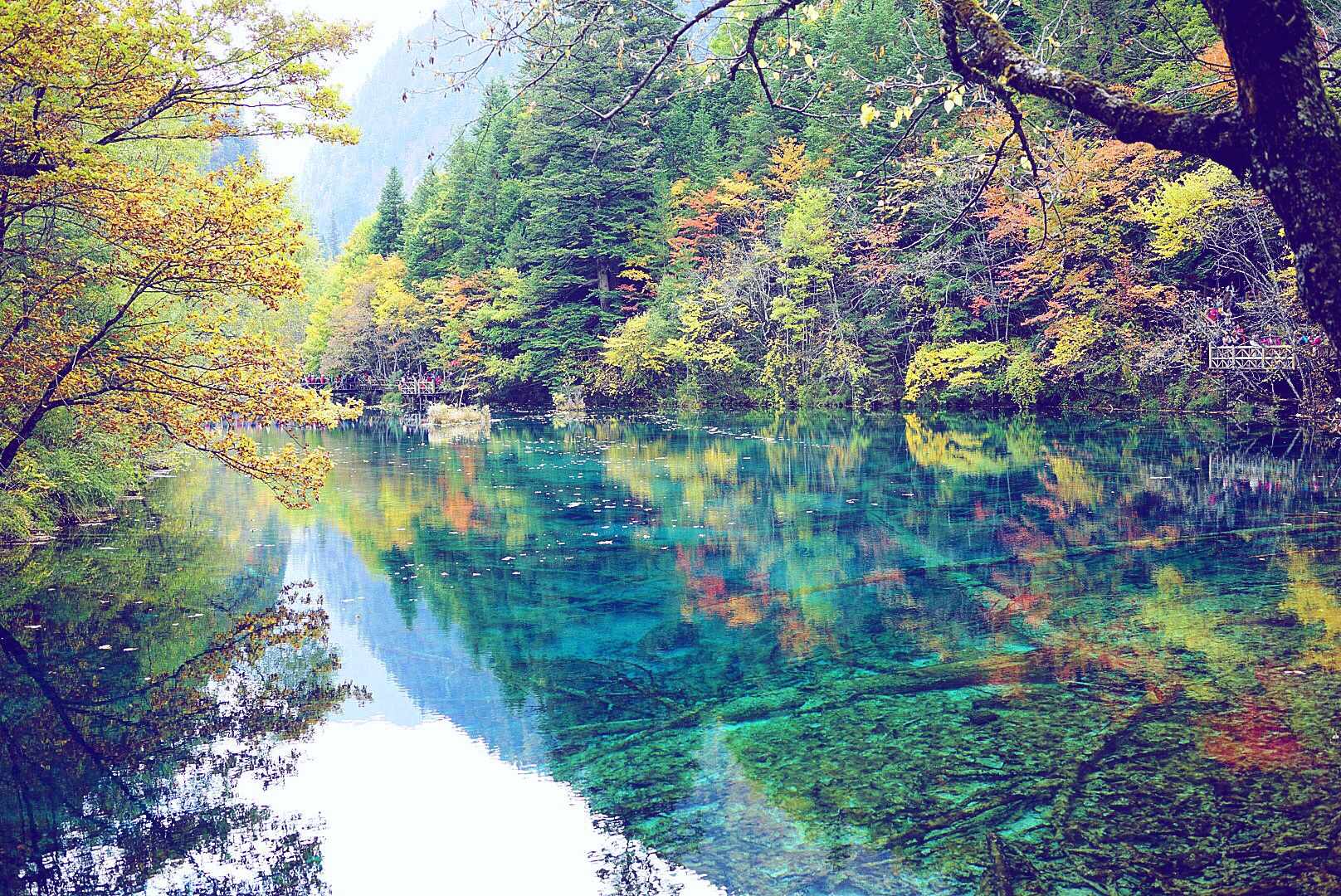 成都手绘日记(熊猫基地,乐山,九寨沟,杜甫