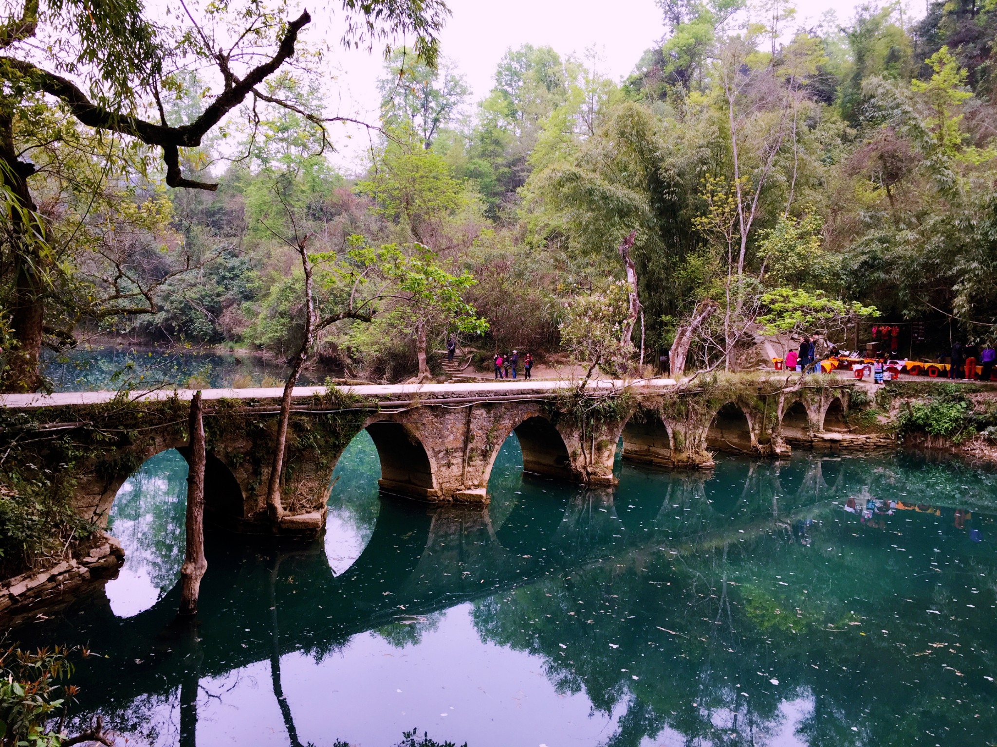 兴义都匀凯里gdp_都匀毛尖图片