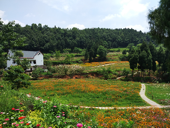 鲜花山谷在四川金堂