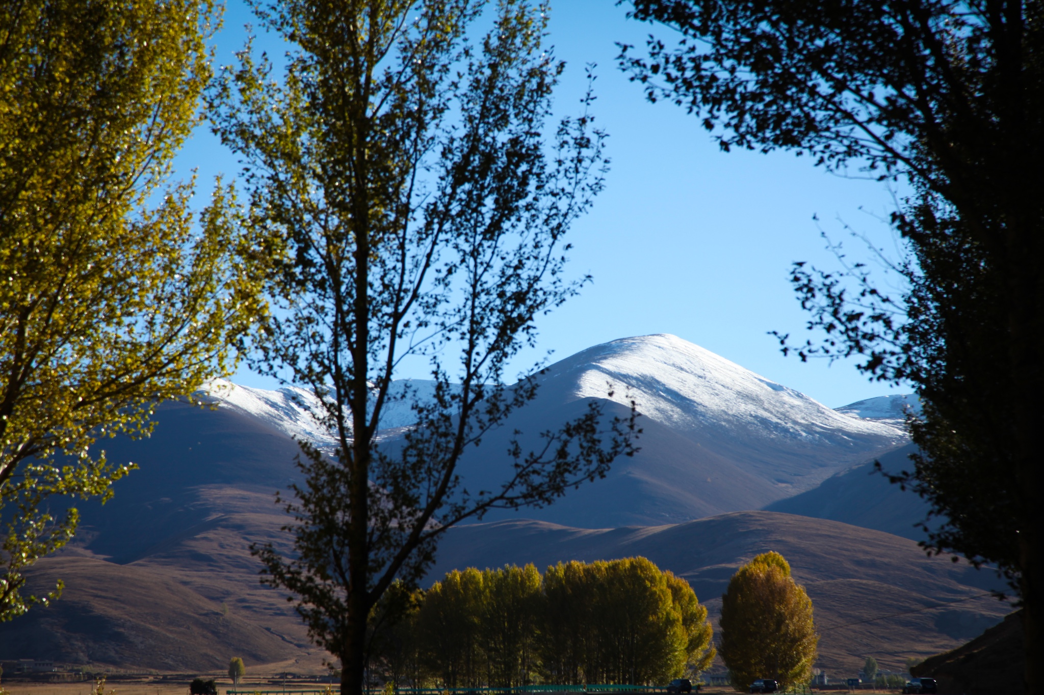 wKgBs1gDLcWAKm55ABCS2CfwLHA73.jpeg?imageView2%2F2%2Fw%2F600%2Fh%2F600%2Fq%2F90