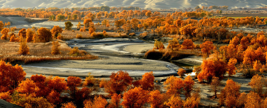 7月底打算暑假带孩子去新疆，适合去南疆还是北疆呢