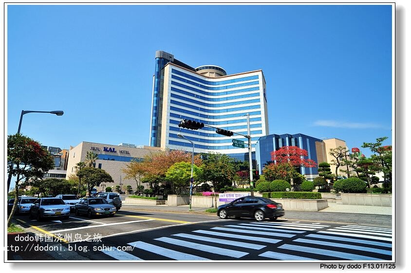 典农路樱花街,我们去的时候还是有点迟了,很多樱花都凋谢了,但依旧