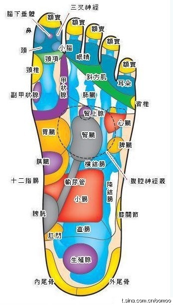足底穴位大全