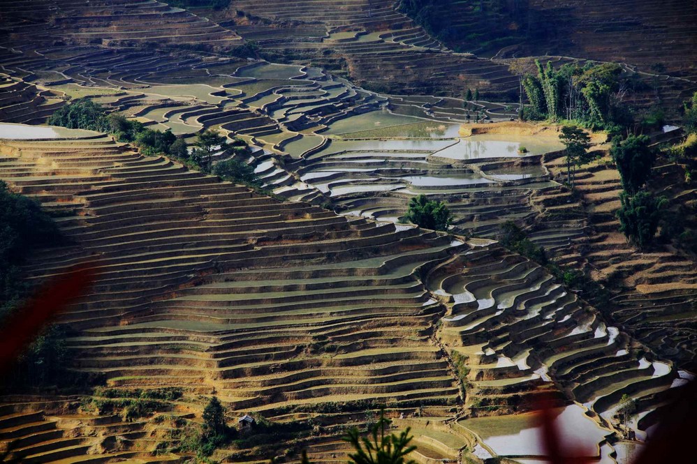 哈尼梯田