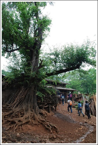 云南开远市羊街乡,震撼我的一切