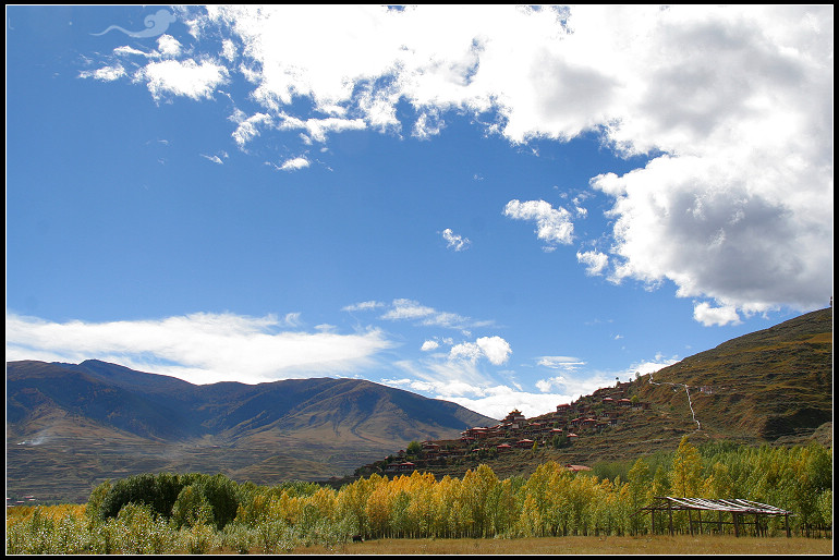 康北的中心炉霍二高原秋色