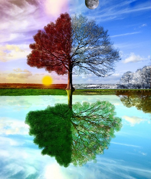 一幅图领略四季的变换