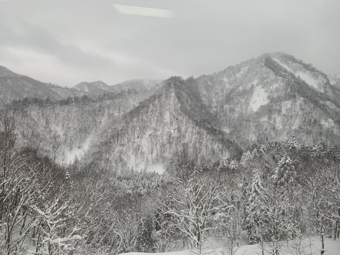 北海道自助遊攻略