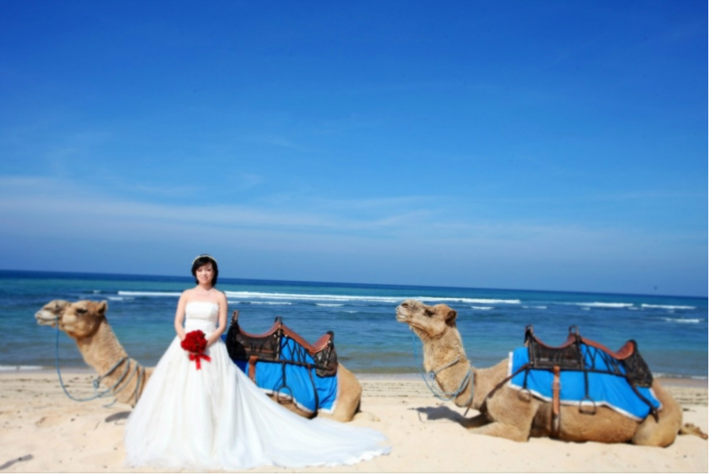 巴厘岛旅游婚纱_巴厘岛旅游