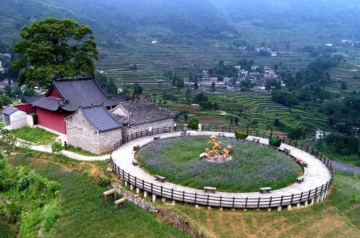 天台南屏:古道红枫,梯田花海,村庄洋楼,秋天去刚好