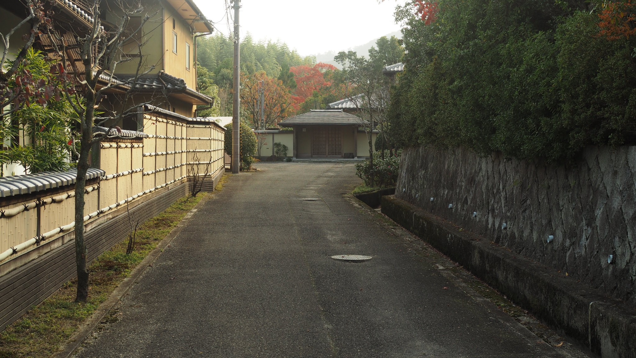 京都自助遊攻略