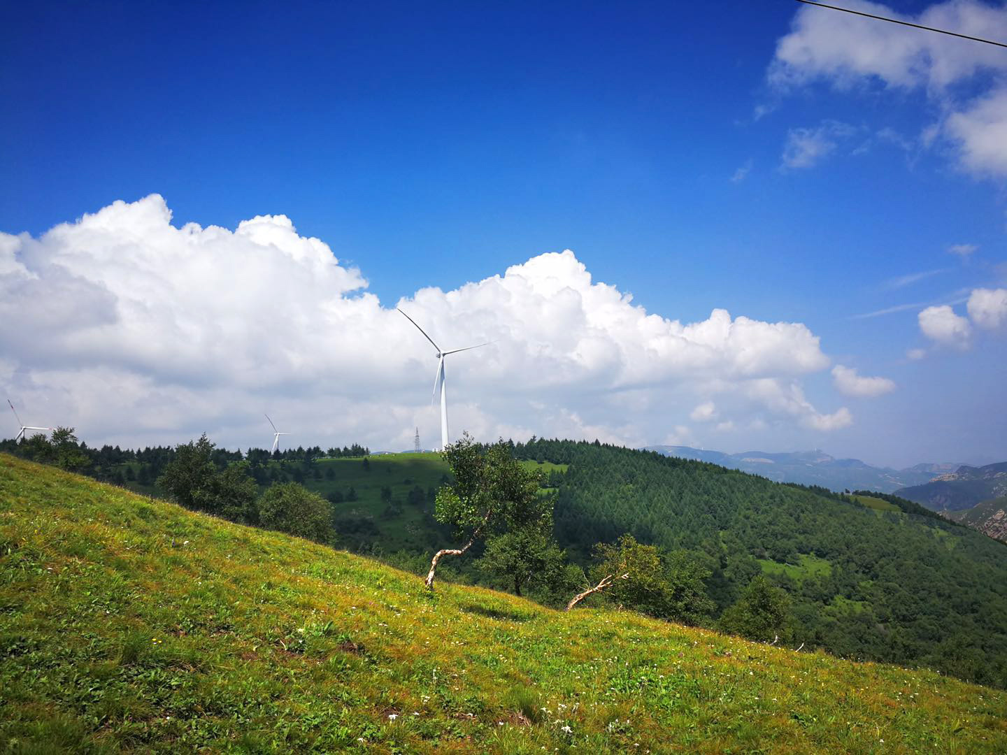 蔚县—茶山—空中草原——自驾游集合