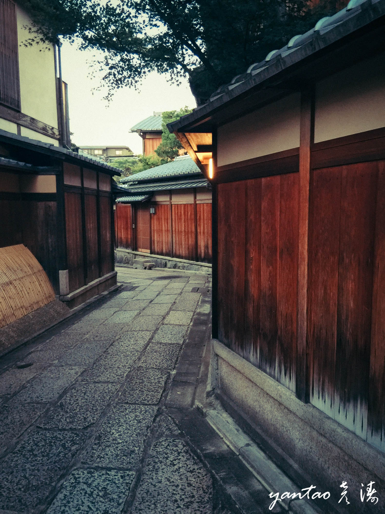 東京自助遊攻略