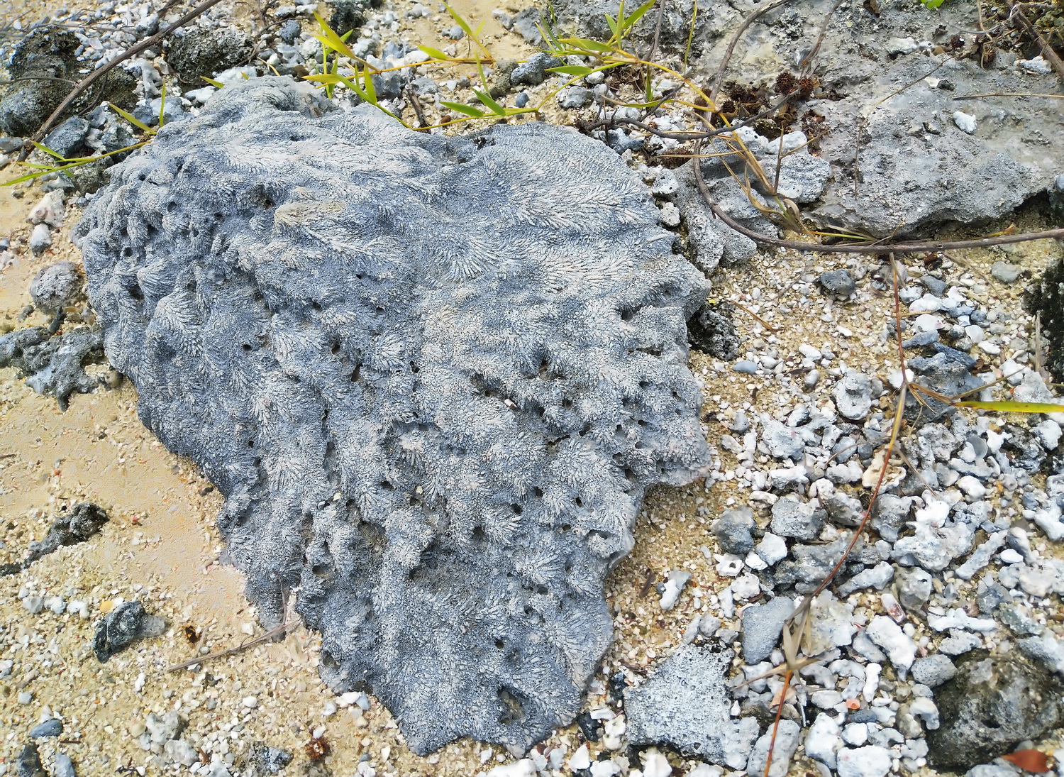 大溪地自助遊攻略