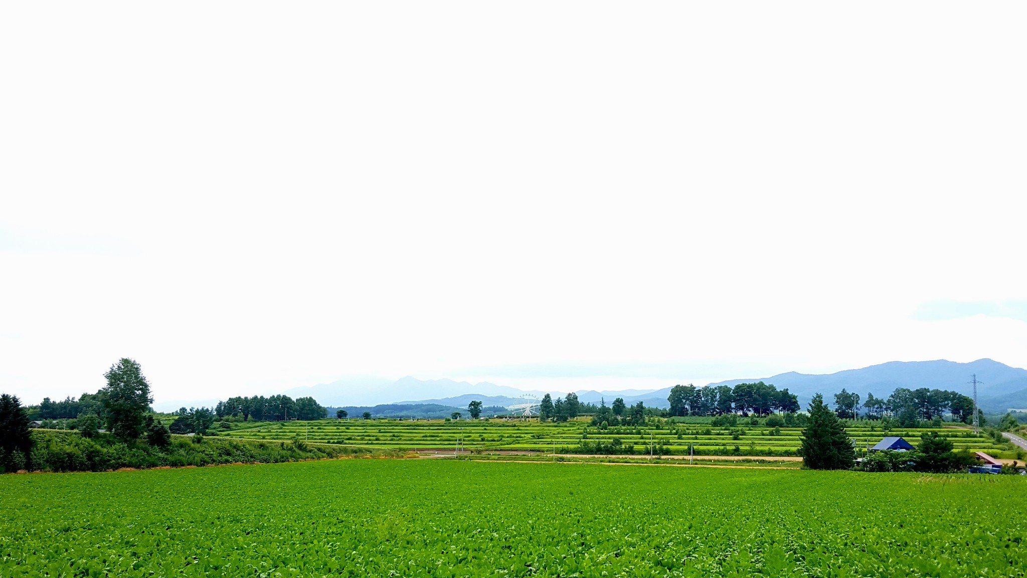 北海道自助遊攻略