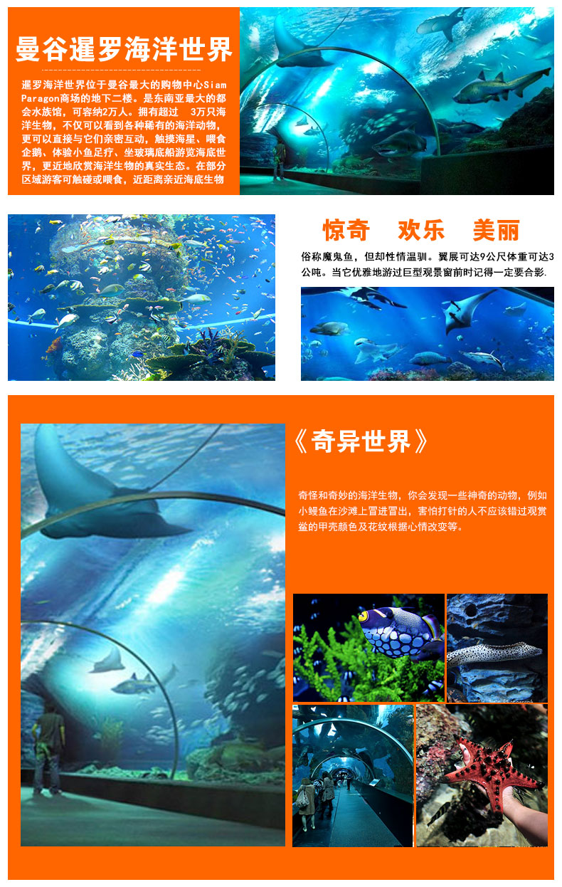 曼谷暹罗海洋世界可选水族馆4d电影玻璃船杜莎夫人蜡像馆联票