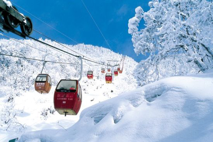 花水灣西嶺雪山滑雪場1日直通車(成都出發 冬季溫泉/滑雪)