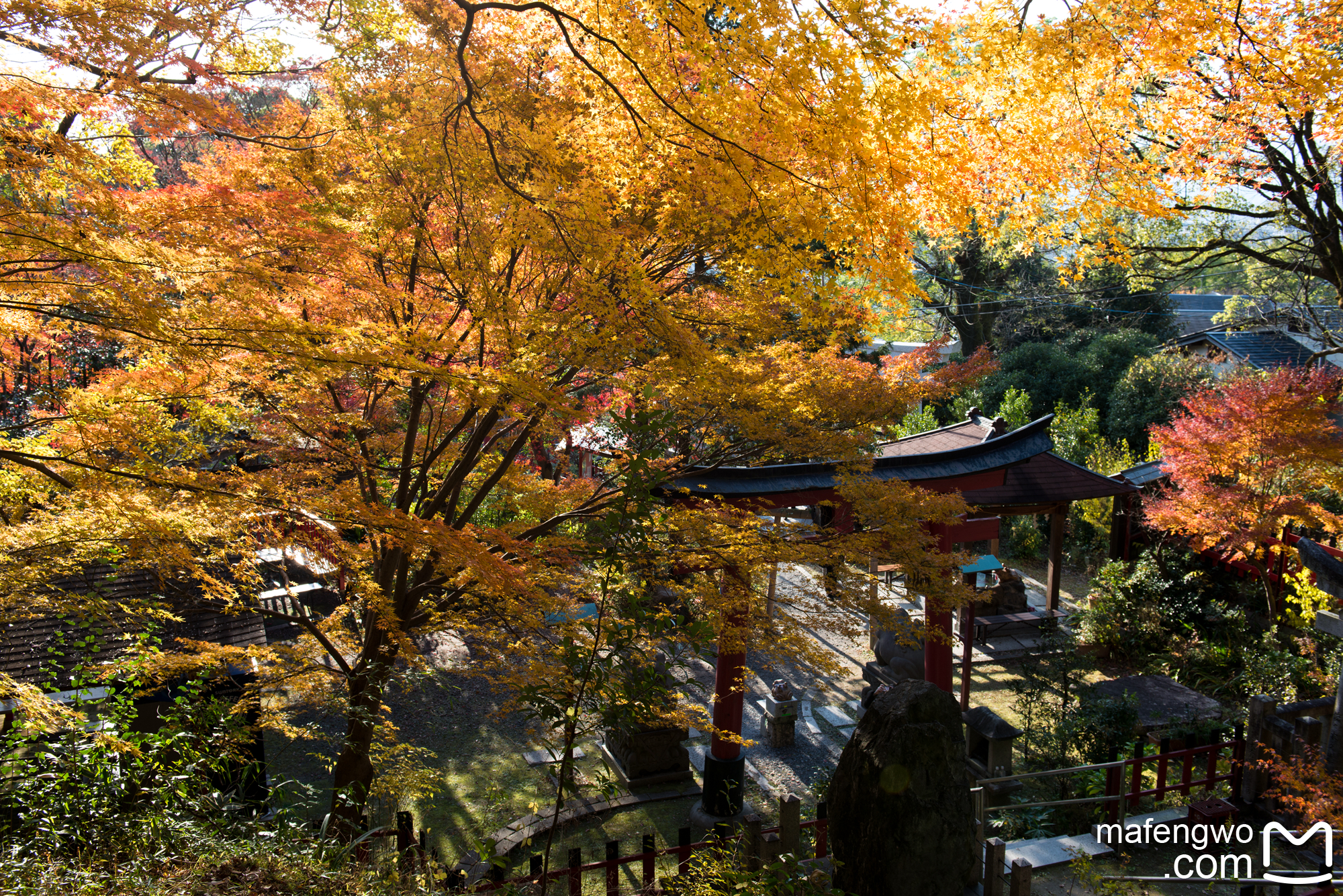 京都自助遊攻略