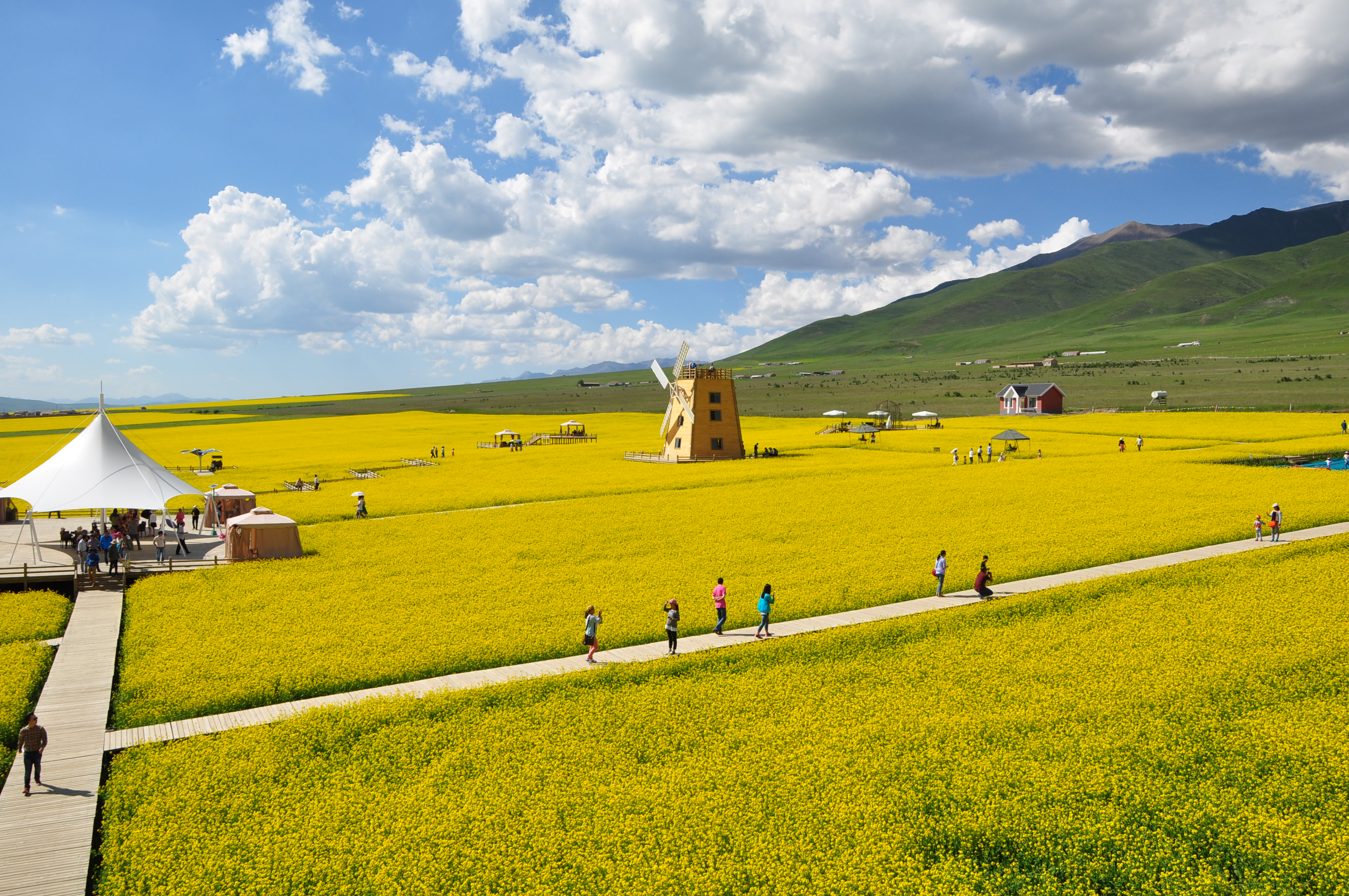 暑期青海甘南,无限梦幻美景,跟我一起去呗