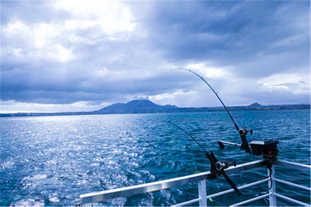 惬意3小时垂钓体验(青岛马蹄莲海域垂钓套餐 近海观光垂钓)