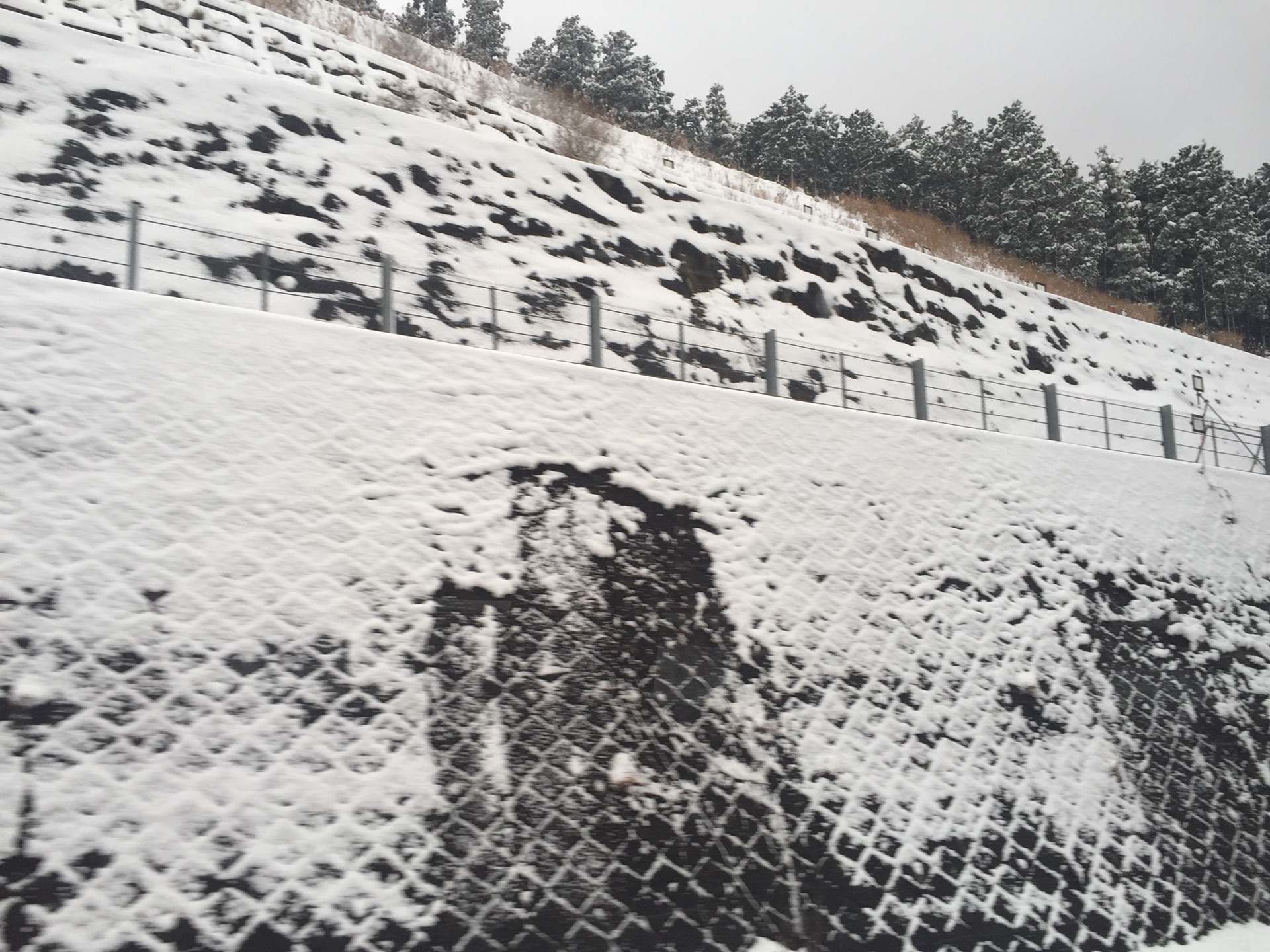 富士山自助遊攻略