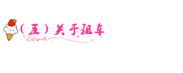 (五)关于租车 (五)关于租车