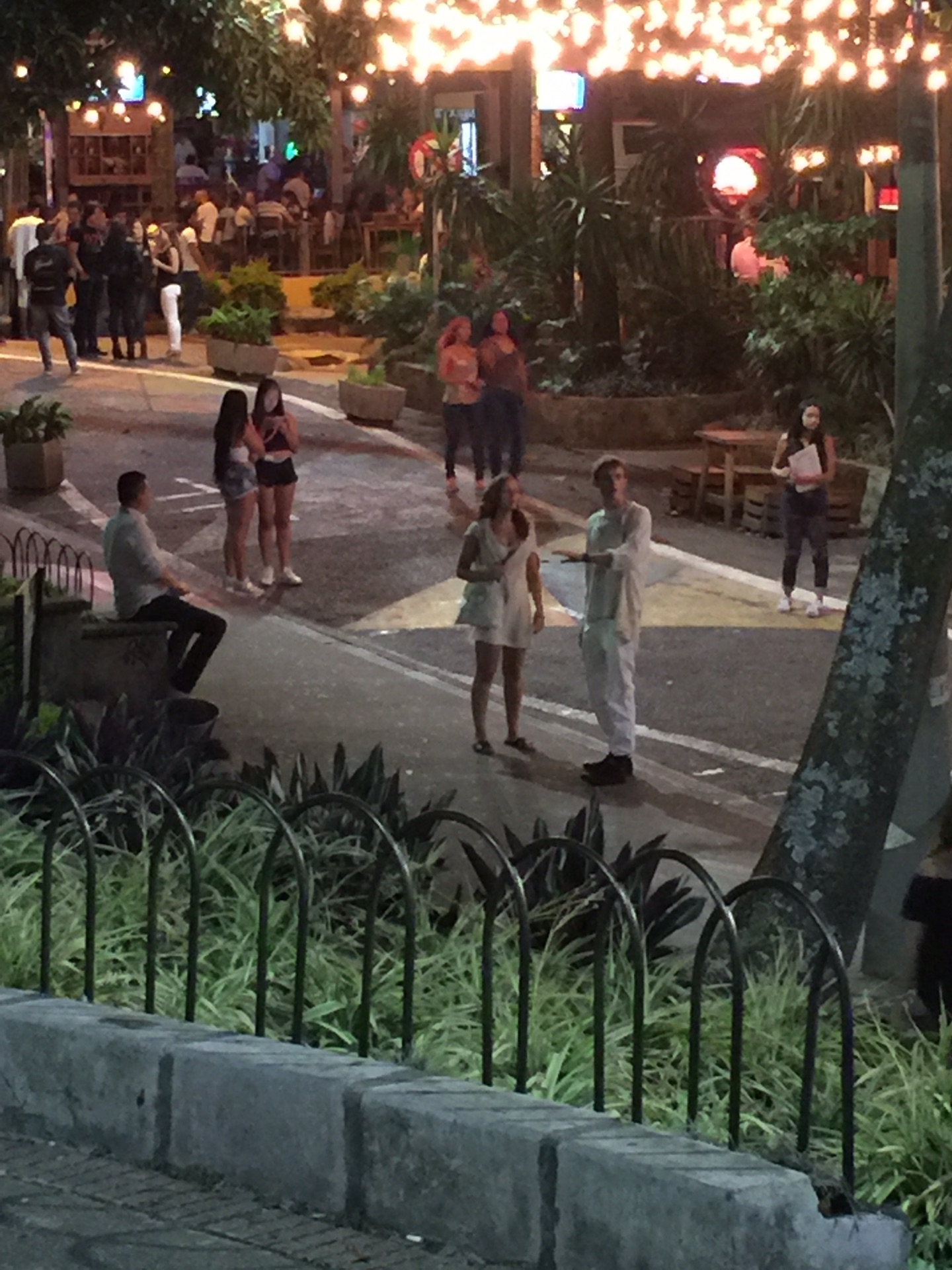 麦德林的夜生活