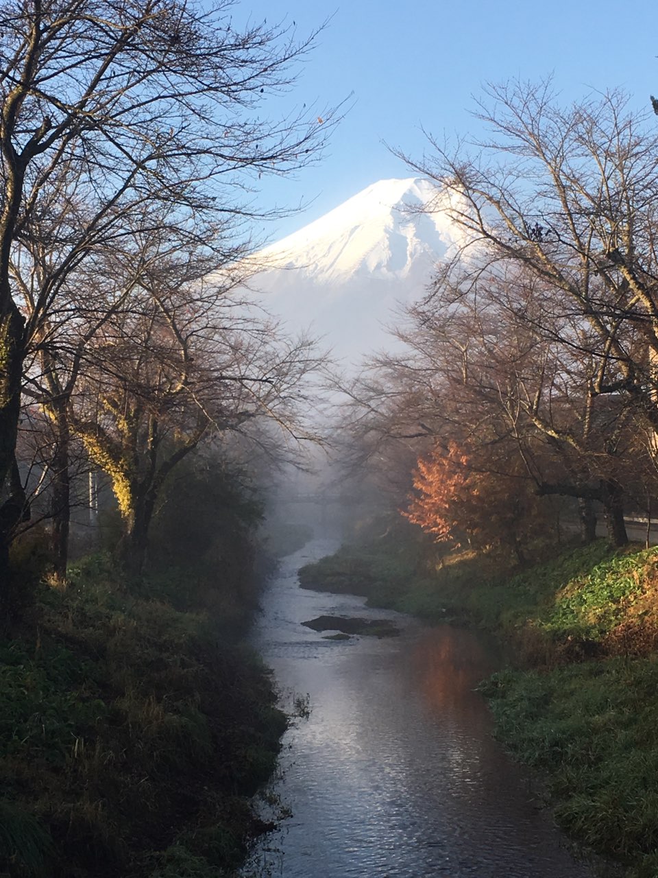 富士山自助遊攻略