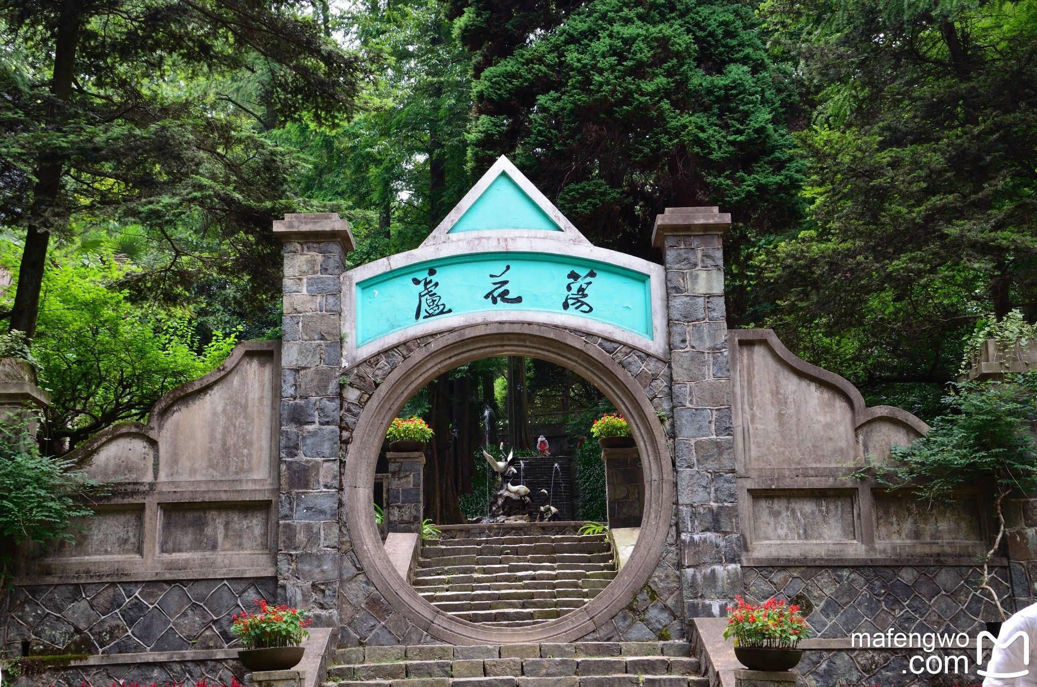 【德清景点图片】芦花荡公园