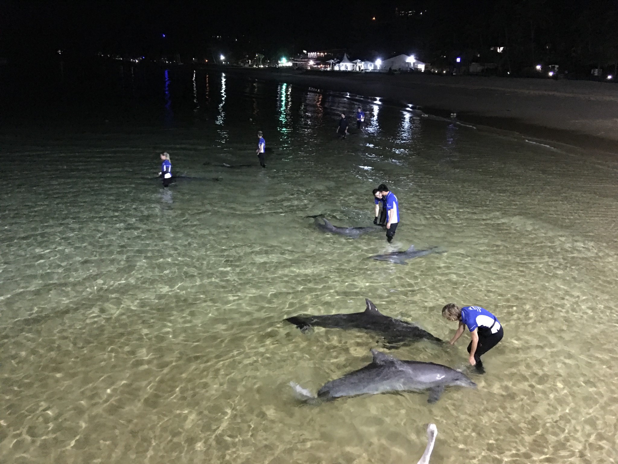 黃金海岸（澳大利亞）自助遊攻略