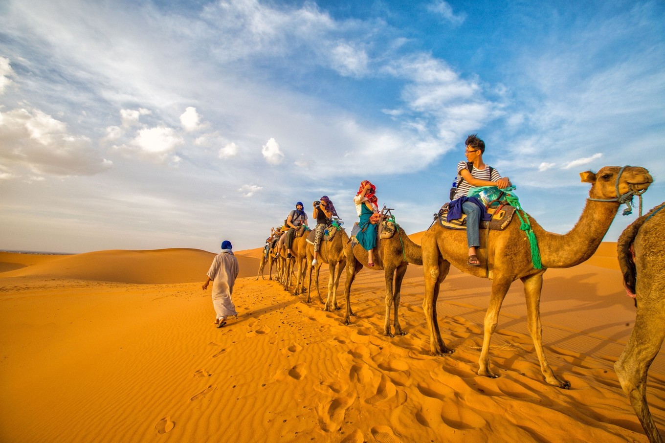            :行走在沙漠中的骆驼