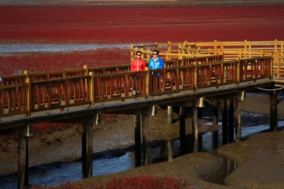  盤錦紅海灘景區