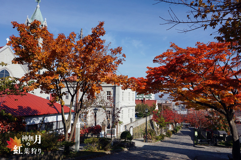 北海道自助遊攻略