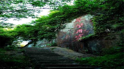 南昌洪崖丹井景区门票