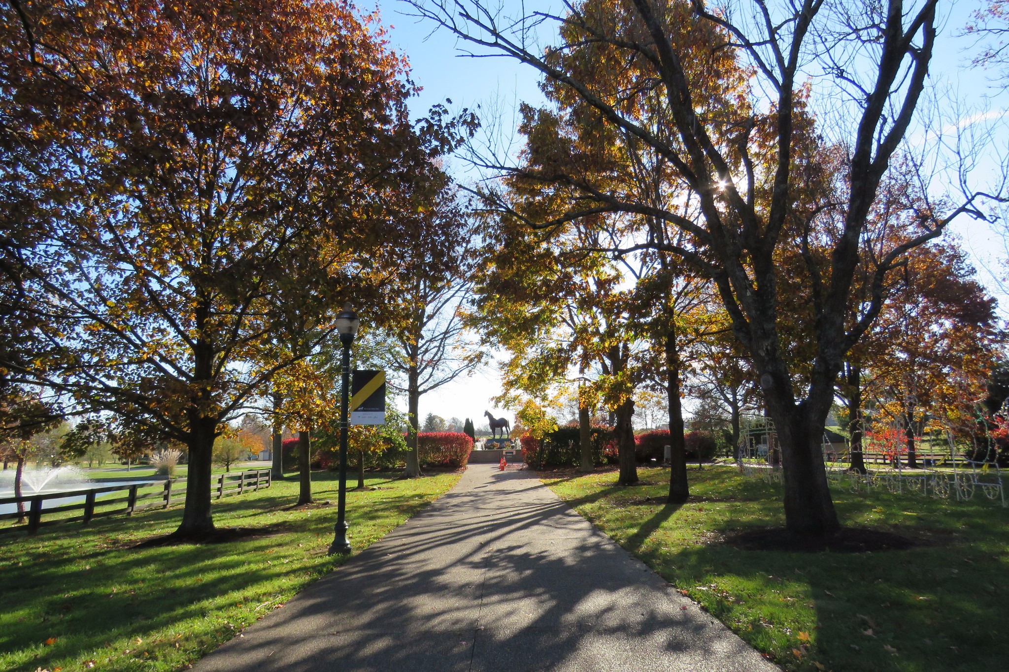 【费耶特县景点图片】肯塔基马公园