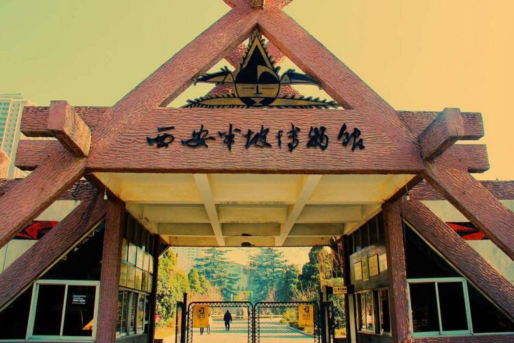 陕西西安半坡博物馆门票