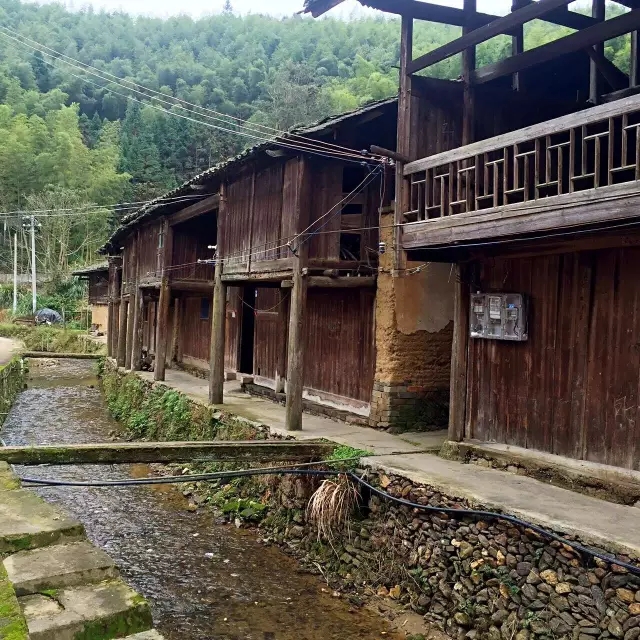 南槎村人口_富阳横槎村照片