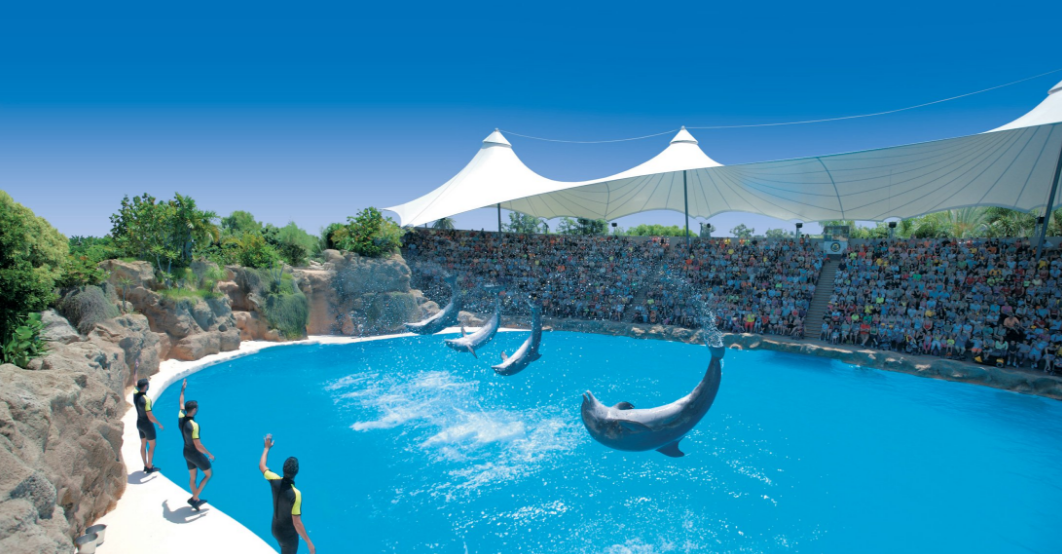 西班牙 海洋公园 特内里费岛鹦鹉公园(loro parque)门票(免排队购票