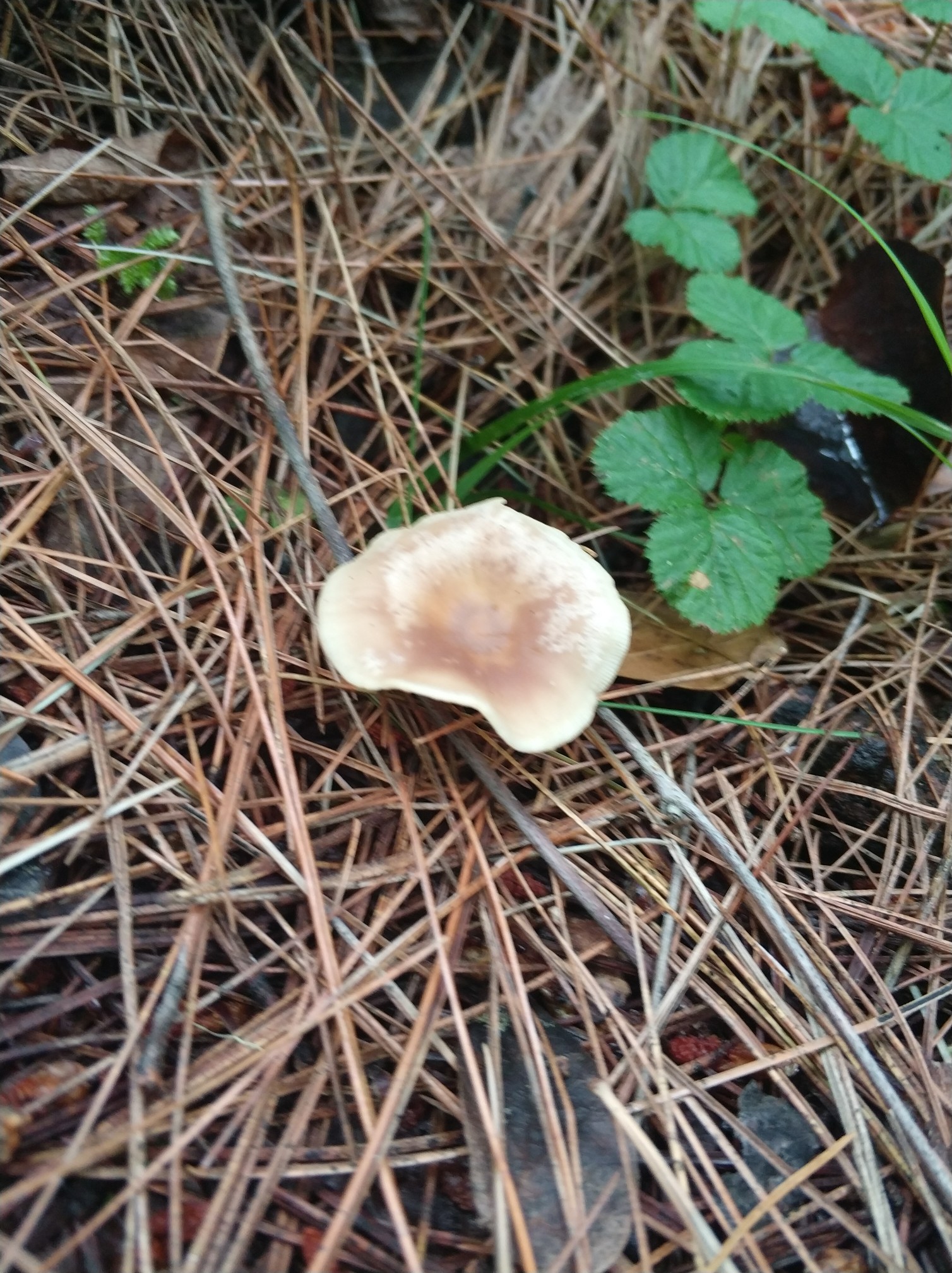 wKgBZ1mR2kGAFvJmAAt4d5Mijxg70.jpeg?imageView2%2F2%2Fw%2F680%2Fq%2F90