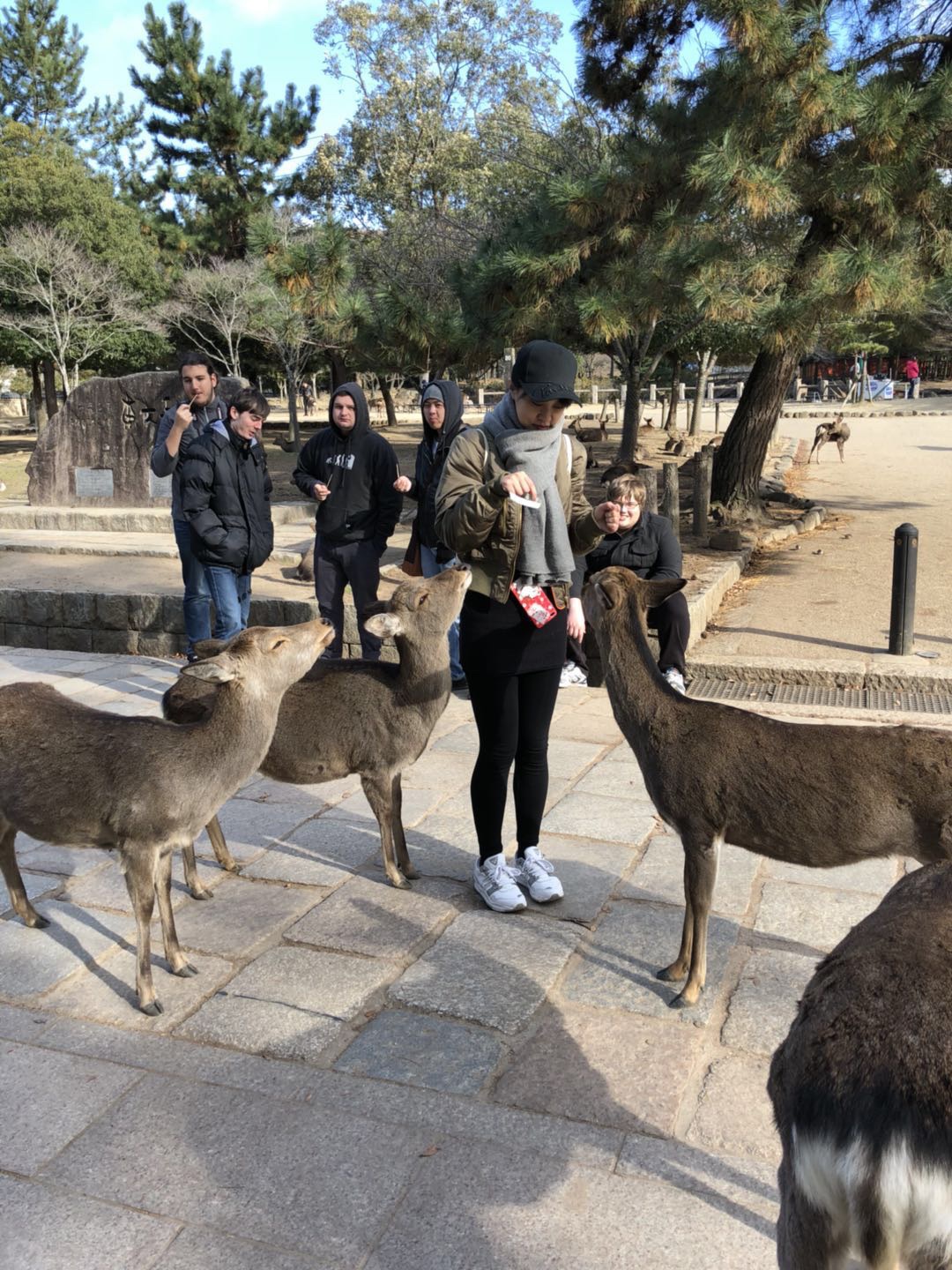 京都自助遊攻略