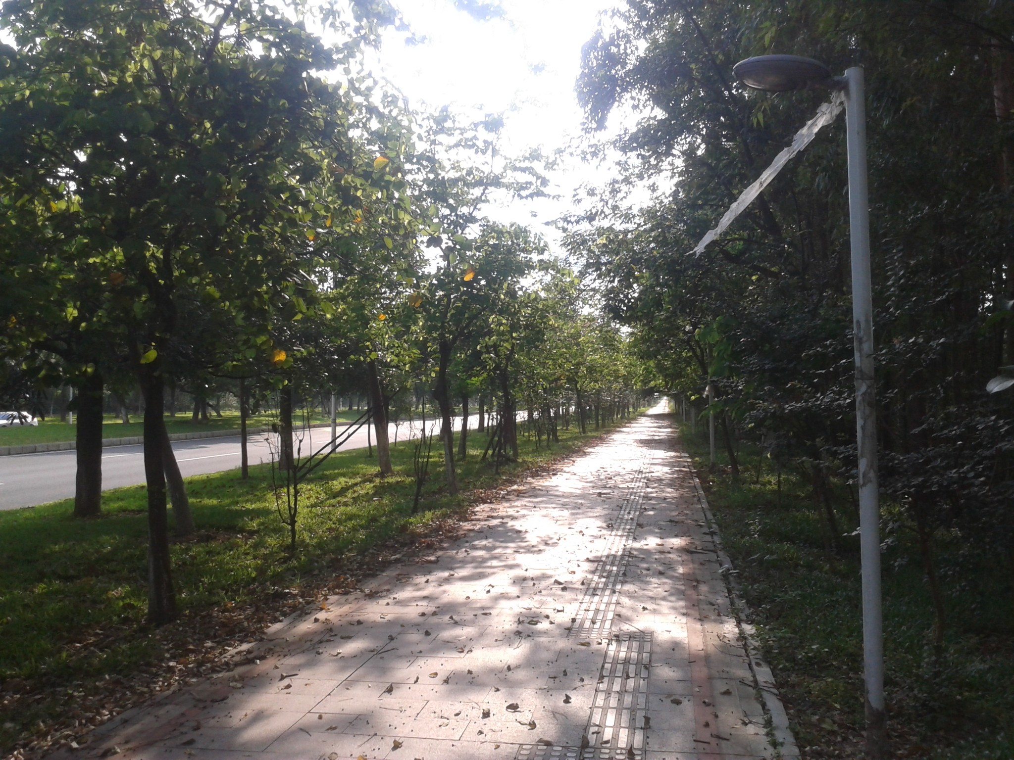 清扫gdp_中国gdp增长图