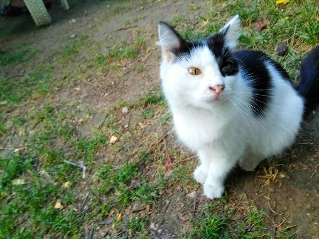 wKgBZ1mv7PaAQVC-AAoHCvd7--M32.jpeg?imageView2%2F2%2Fw%2F680%2Fq%2F90