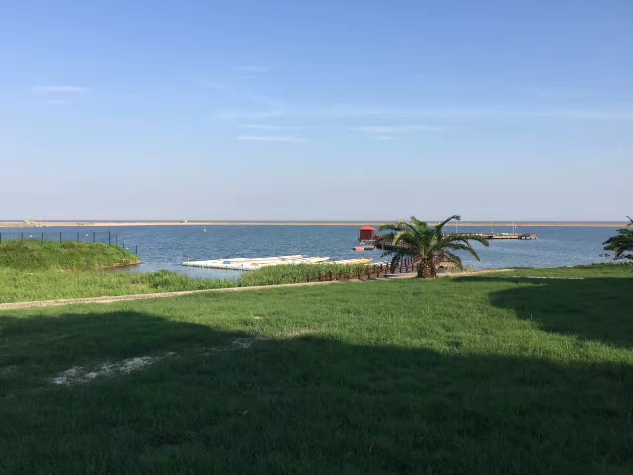 你所不知道的上海的夏天-奉贤碧海金沙