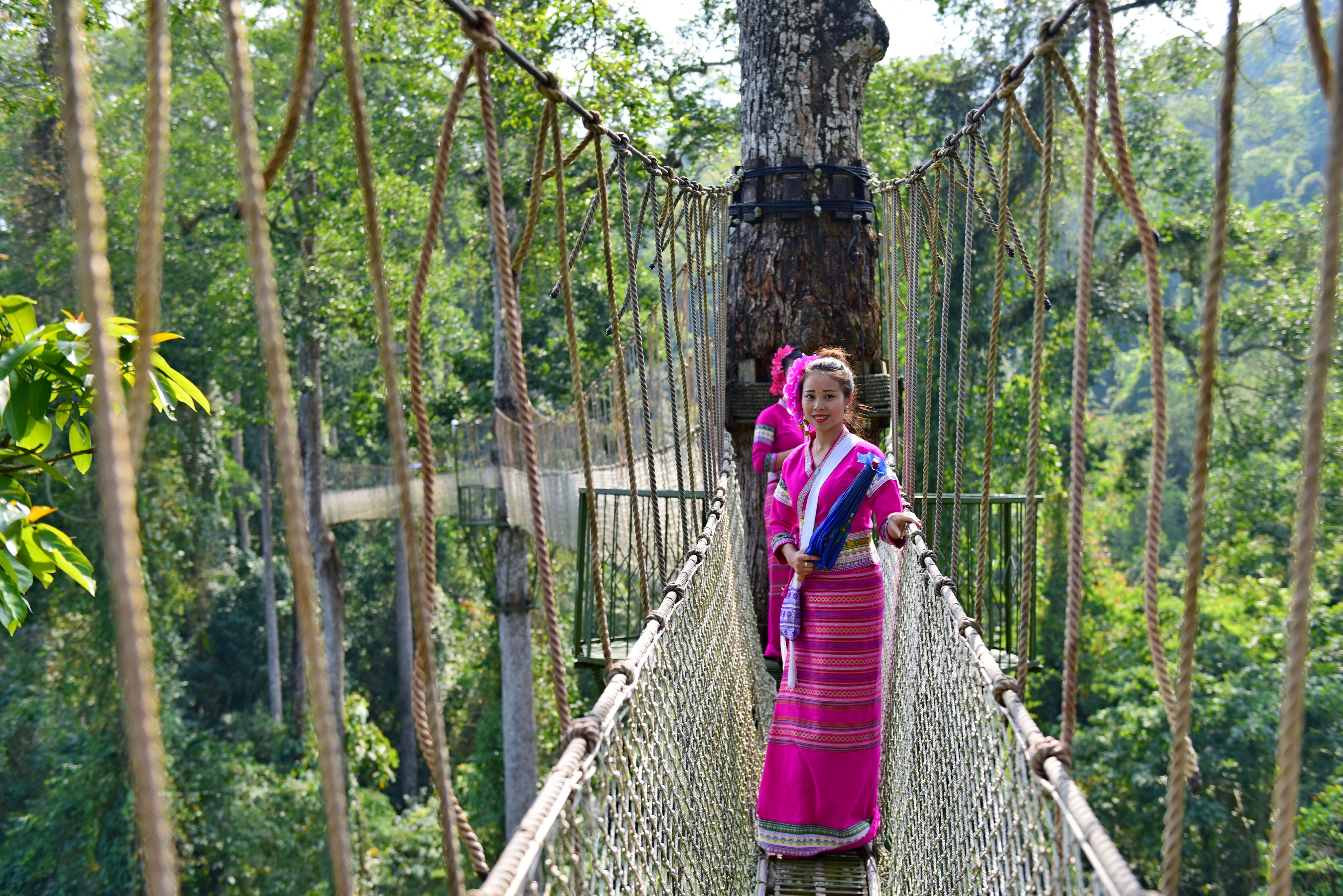 也包括了傣族,基诺族,布朗族,拉祜族,瑶族,哈尼族六个在西双版纳州世